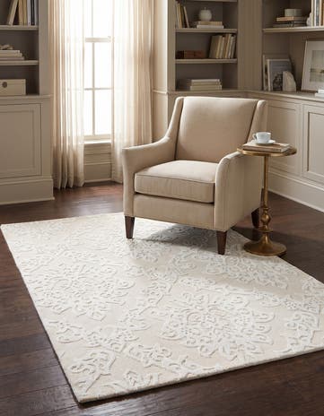 4' x 6' Darya Rug