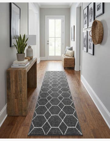 2' x 13' Trellis Frieze Runner Rug