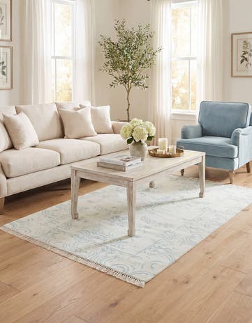 4' x 5' 11 Darya Rug