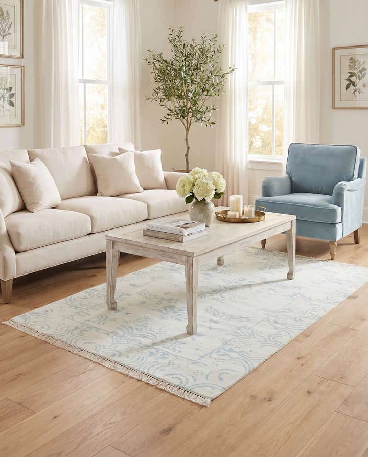 4' x 5' 11 Darya Rug