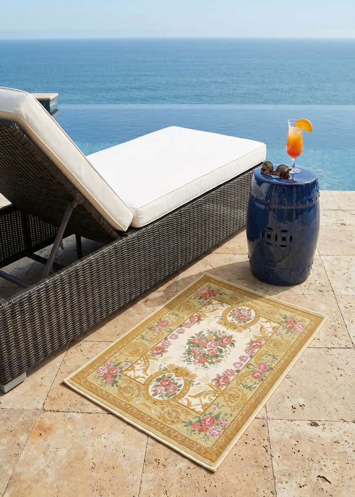 2' x 3' Easy-Clean Traditional Indoor / Outdoor Rug