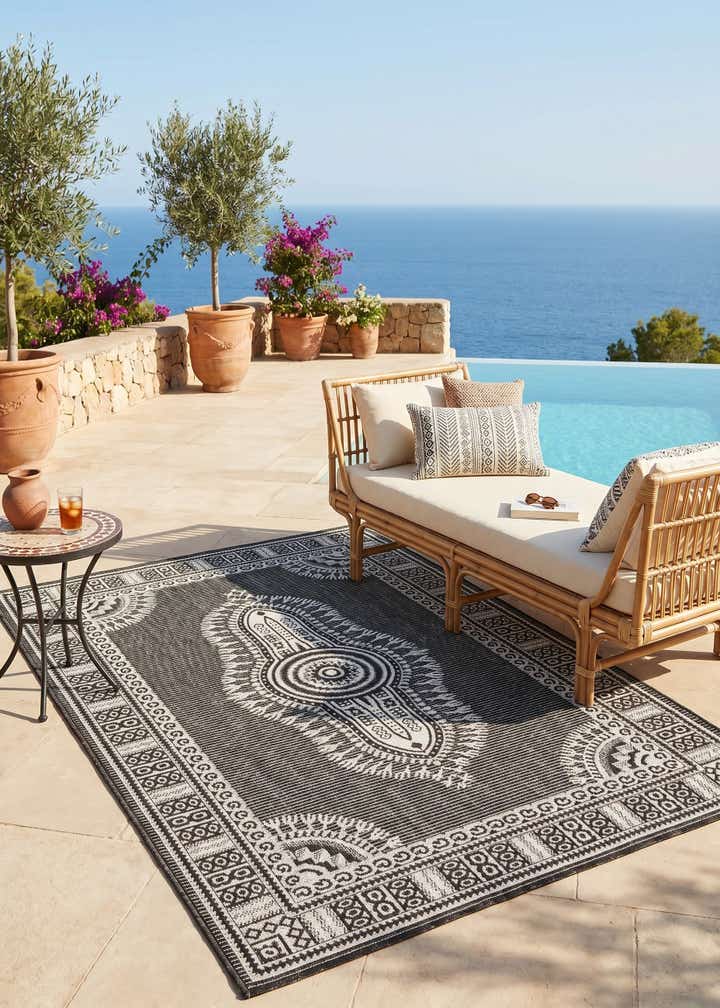 4' x 6' Easy-Clean Traditional Indoor / Outdoor Rug