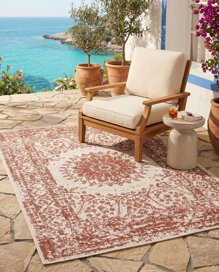 4' x 6' Easy-Clean Traditional Indoor / Outdoor Rug