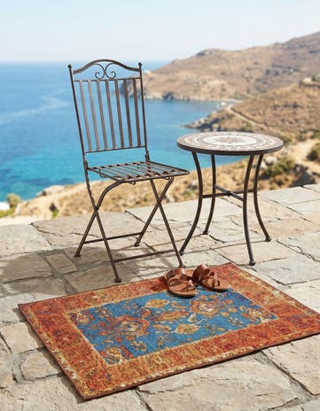 2' x 3' Easy-Clean Traditional Indoor / Outdoor Rug