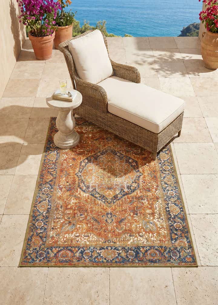 4' x 6' Easy-Clean Traditional Indoor / Outdoor Rug