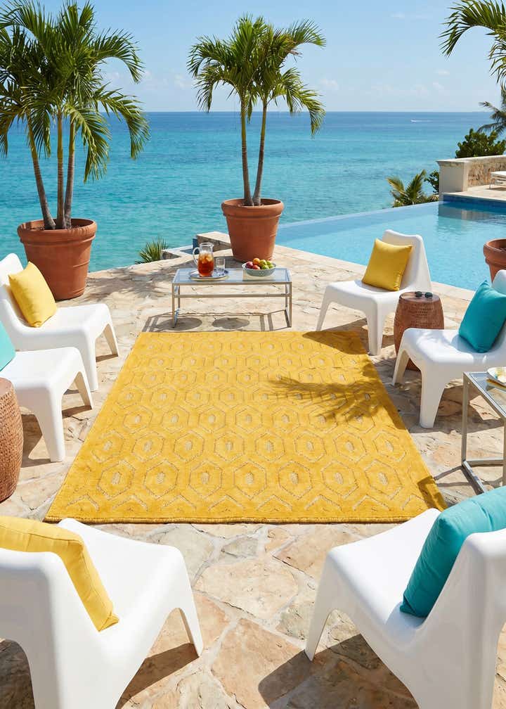 4' x 6' Easy-Clean Trellis Textured Indoor / Outdoor Rug