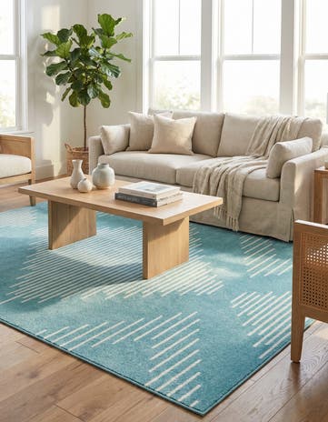 10' x 13' Kai Rug
