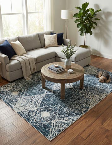 6' x 9' Kamala Washable Rug