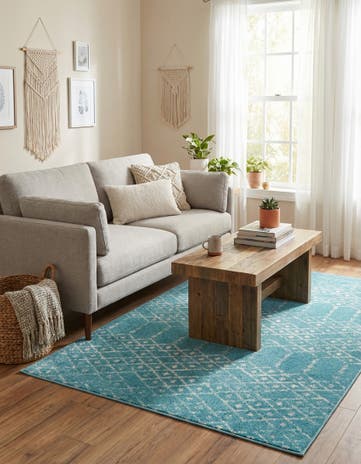 4' x 6' Paxon Trellis Rug