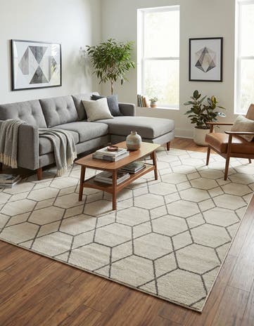 8' x 10' Lattice Frieze Rug