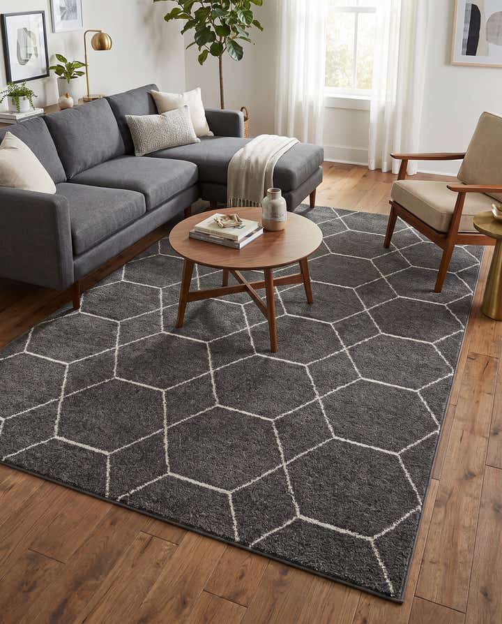 7' 10 x 10' Trellis Frieze Rug
