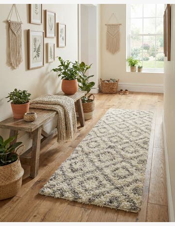 2' x 5' Trellis Shag Runner Rug