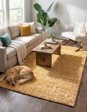 7' 10 x 11' Zermatt Shag Rug