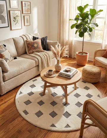7' 10 x 7' 10 Prismatic Round Rug