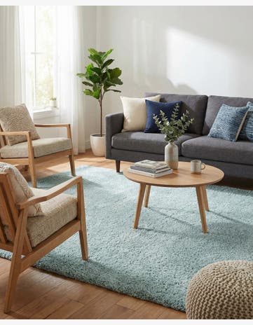 Sage Green Soft Solid Shag Rug