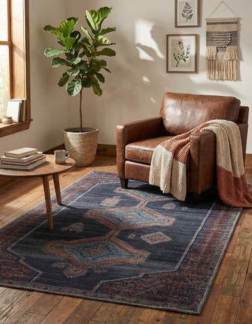4' x 6' Washable Sisu Rug