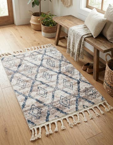2' 4 x 3' 3 Artemis Rug