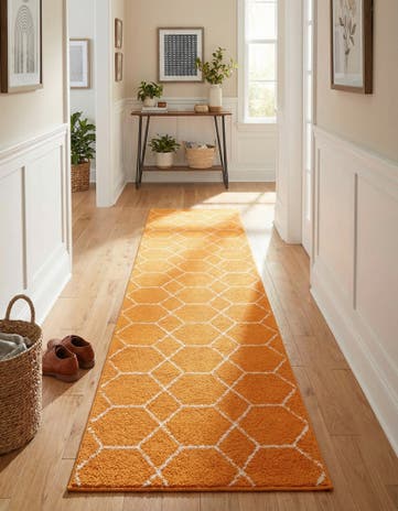 Orange Lattice Frieze Runner Rug