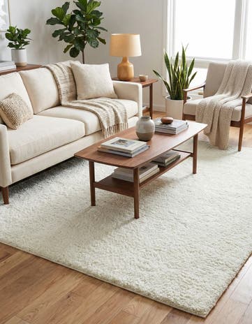 6' x 9' Soft Solid Shag Rug