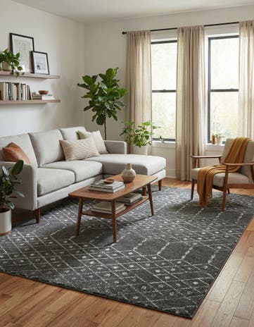 7' 10 x 10' Paxon Trellis Rug