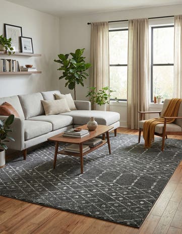 7' 10 x 10' Paxon Trellis Rug