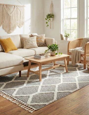 5' 3 x 8' Boho Rug