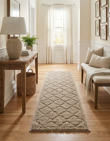 2' 7 x 10' Lattice Shag Runner Rug