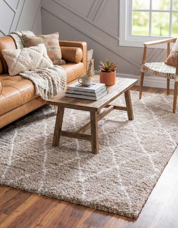 Beige Moroccan Shag Rug