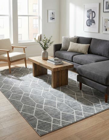 9' 10 x 14' Lattice Trellis Rug