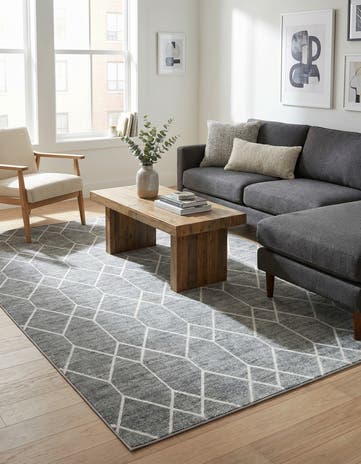 9' 10 x 14' Lattice Trellis Rug