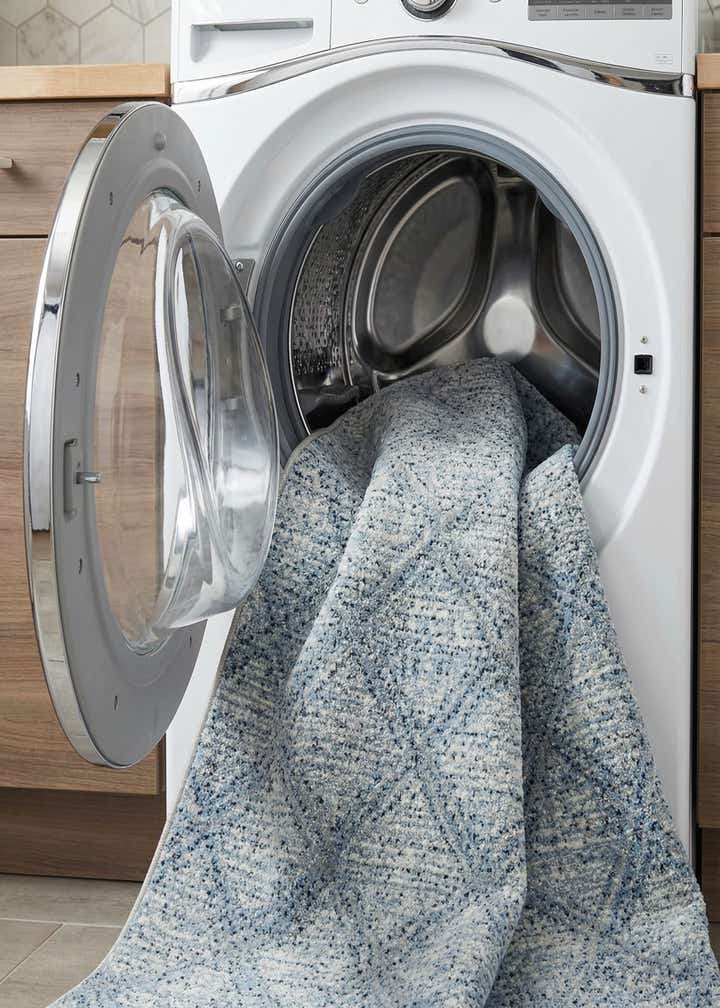 4' x 6' Kamala Washable Rug