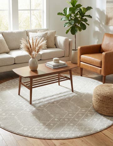 7' 10 x 7' 10 Paxon Trellis Round Rug