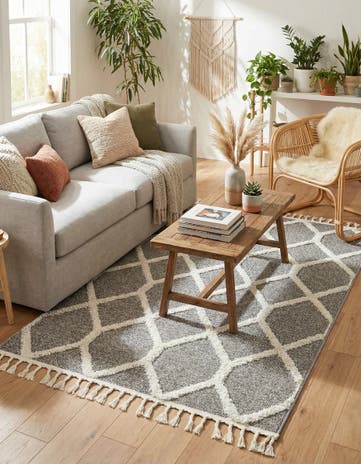 4' x 6' Boho Rug
