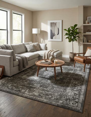 9' 10 x 13' 3 Aarhus Rug