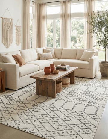10' x 14' Paxon Trellis Rug