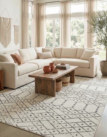 10' x 14' Paxon Trellis Rug