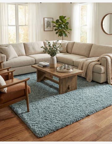 7' x 10' Infinity Shag Rug