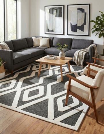 7' 10 x 10' Prismatic Rug