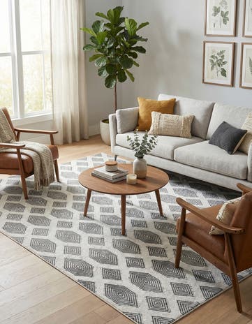 6' 4 x 9' Sabrina Soto Casa Havana Rug