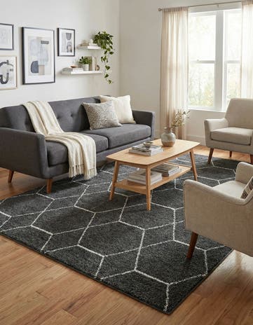 6' x 9' Lattice Frieze Rug