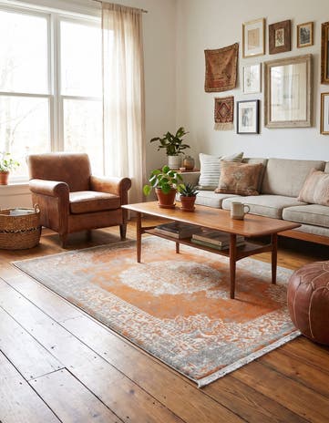 4' x 6' Modern Classical Rug