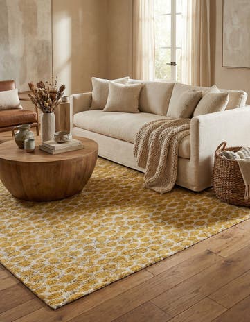 6' x 9' 1 Hand Knotted Moroccan Wool Rug