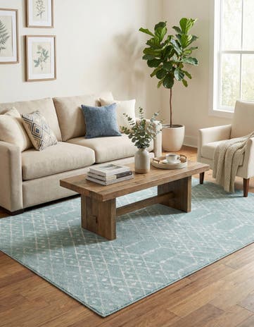 7' x 10' Paxon Trellis Rug