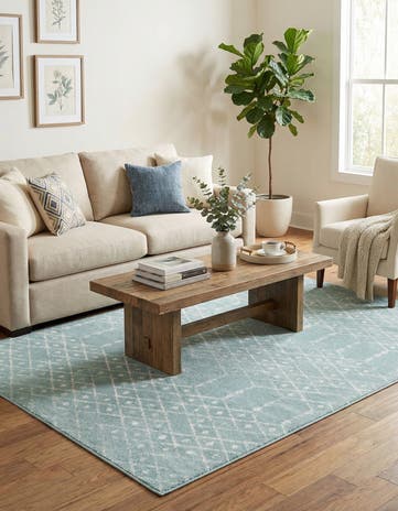 7' x 10' Paxon Trellis Rug