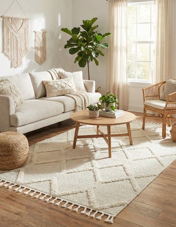 5' 3 x 8' Boho Rug
