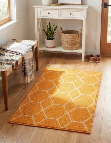 Orange Lattice Frieze Rug