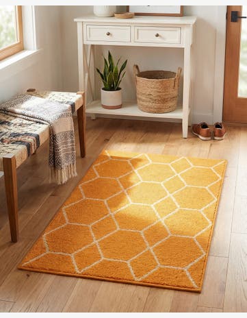 Orange Trellis Frieze Rug