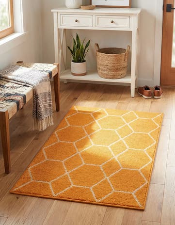Orange Lattice Frieze Rug