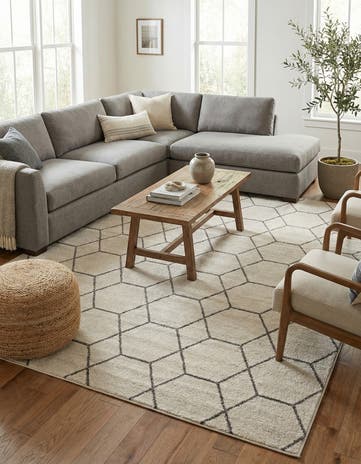 9' x 12' Lattice Frieze Rug