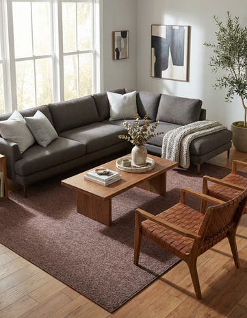 Brown Easy-Clean Modern Indoor / Outdoor Rug